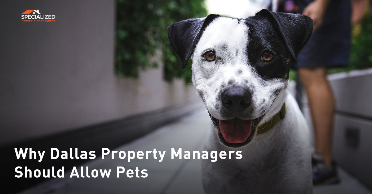 2-Dallas-property-managers-rent-out-your-home
