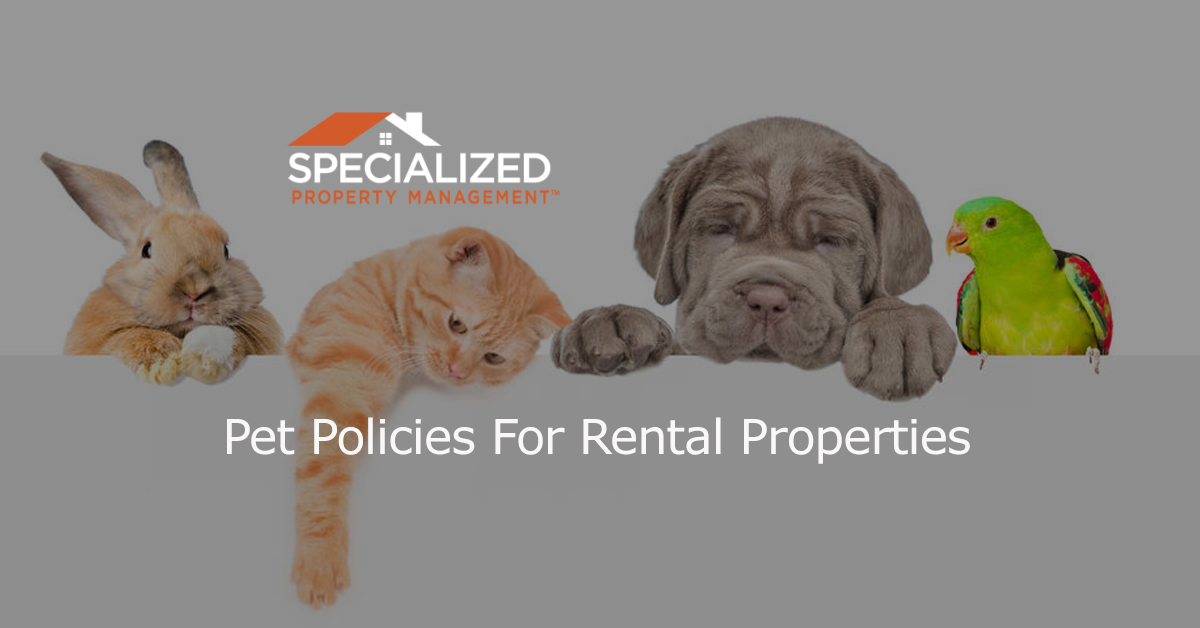Pet Policies For Rental Properties: Things To Consider For Pet-Friendly Rentals